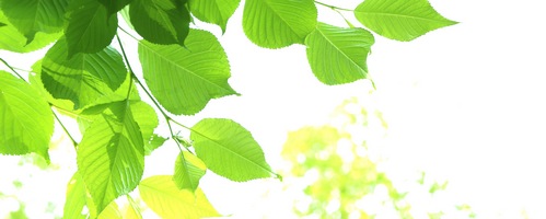 生薬製剤イツラック 胃の痛みにスーッと効く!販売サイトへ